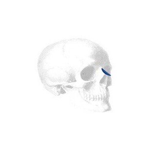 Flowers Dorsal Nasal Implantat, Small