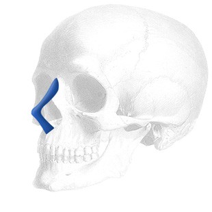 Anatomical Nasal Implantat 020