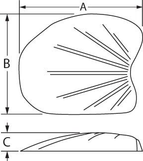 Temporal Shell Implantat, links